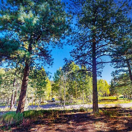 Vila Pinon Pines South Fork Exteriér fotografie